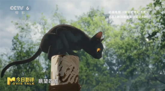 这部奥斯卡提名的电影 如何以动物寓言叩击人心?