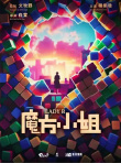 《魔方小姐》海报