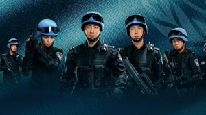 维和防暴队