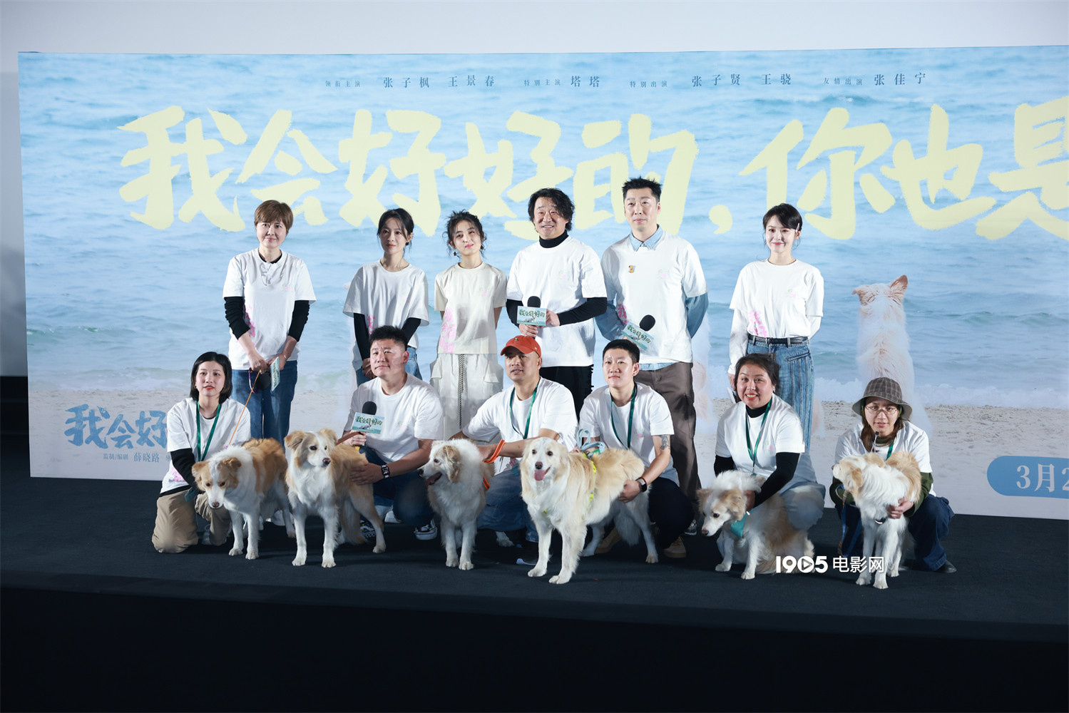 张子枫赞《我会好好的》狗狗演技 手绘礼物送观众