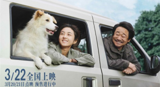 它用一生陪伴！张子枫《我会好好的》曝终极预告