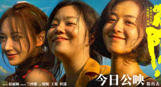 《向阳·花》上映 四大看点揭秘赵丽颖勇猛逆风翻盘