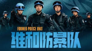 维和防暴队