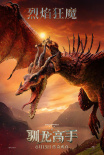 《新·驯龙高手》海报