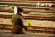 《戀曲塵封》定檔6.13 蔣雯麗黃軒馬思純錯(cuò)位戀愛