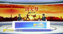 《功夫夢：融合之道》拳腳只是皮膚，文化才是內(nèi)核