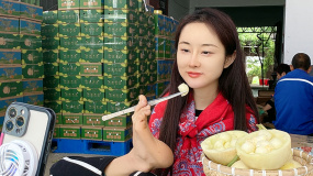 杨莉