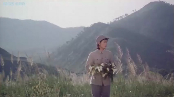 百合花：百合花开，青山深处的绝美静谧