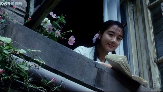 我的少女时代：阳光微笑下的邂逅，窗前故事悄然绽放