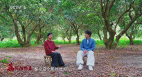 暑期檔光影行 | 直抵嶺南荔枝林：嘗一顆“李善德同款”，品出怎樣的人生滋味？