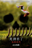 《死神來(lái)了：血脈詛咒》海報(bào)