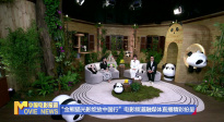 《中國(guó)電影報(bào)道》第257期（20250914）