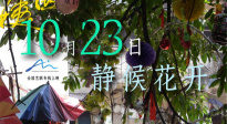 《胡阿姨的花園》正式定檔！10月23日全國(guó)藝聯(lián)專線上映