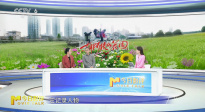 在別人的廢墟里，胡阿姨種出了一個(gè)春天