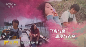 今日影评 | 《下一个台风》：女性创作如何真正穿越现实与银幕间的“风暴”？