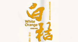 在泥土里的成长与心动——电影《白桔》回到故乡昭通举行首映式