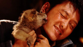 冯绍峰·狼图腾