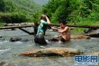庐山恋2010