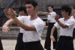 葉問(wèn)2：宗師傳奇